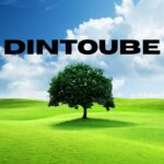 Abstract graphic symbolizing Dintoube concept online