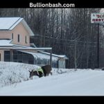 Hi-Vis Vested Deer Spotted Across Road in Hillsdale County road