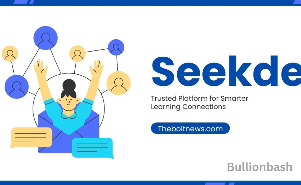 Seekde dashboard interface simple overview 2025