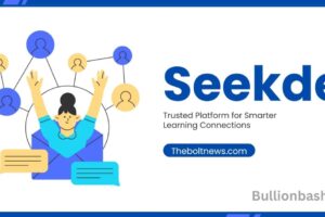 Seekde dashboard interface simple overview 2025